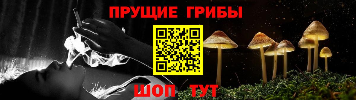 Корсаков  Псилоцибиновые грибы Psilocybine cubensis  Вход с VPN  Псилоцибиновые грибы Magic Shrooms 